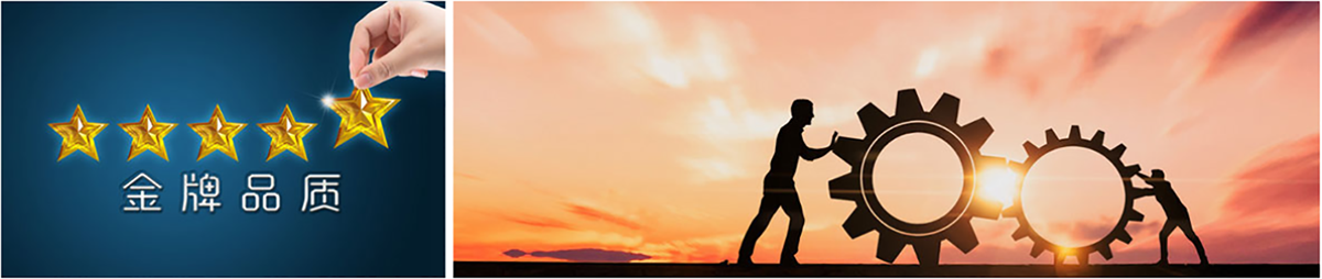 c21200.png c21200.png